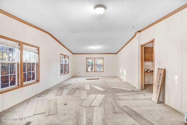 empty room featuring a textured ceiling, light carpet, a wealth of natural light, and lofted ceiling