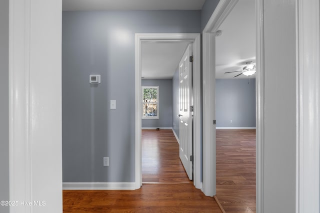 hall with hardwood / wood-style floors