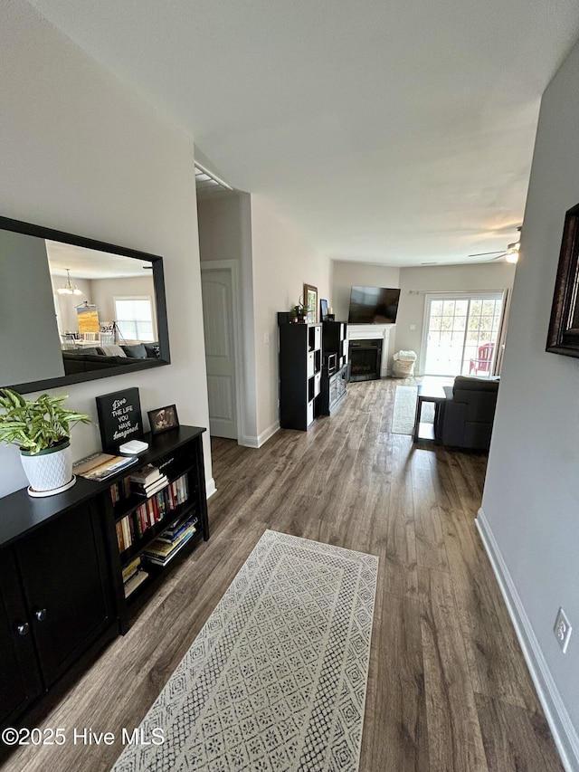 living room featuring ceiling fan and hardwood / wood-style floors