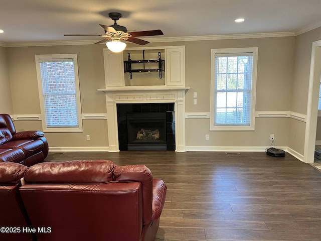 living room with ceiling fan, dark wood-type flooring, crown molding, and a fireplace