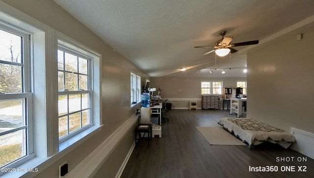 living room with ceiling fan, dark wood-type flooring, vaulted ceiling, and a textured ceiling