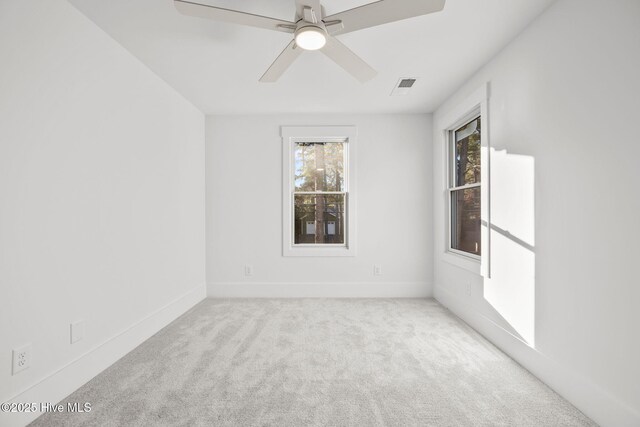 walk in closet featuring carpet flooring