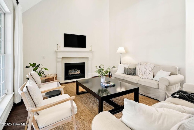 living room featuring wood-type flooring and a wealth of natural light