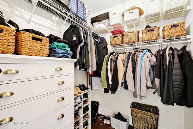 view of walk in closet