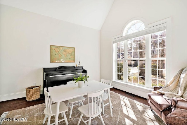 interior space featuring high vaulted ceiling, plenty of natural light, and dark hardwood / wood-style flooring