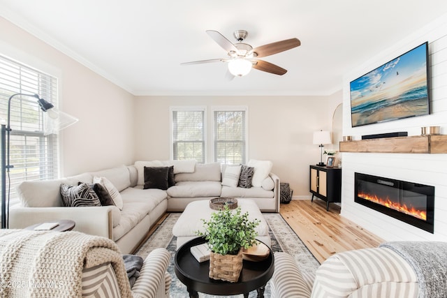 living room with light wood-type flooring, ceiling fan, ornamental molding, and plenty of natural light