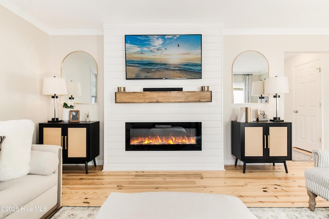 living room featuring wood-type flooring, a large fireplace, and ornamental molding