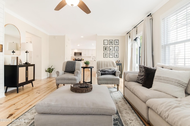 living room with ceiling fan, light hardwood / wood-style flooring, and crown molding