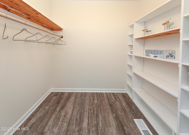 spacious closet with dark wood-type flooring