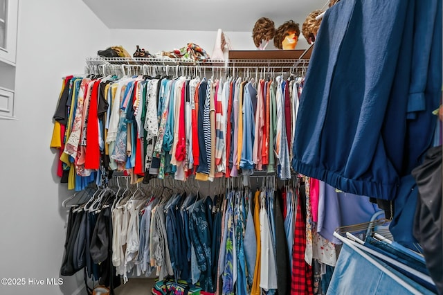 view of walk in closet