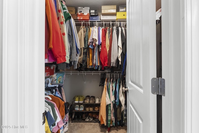 walk in closet featuring carpet