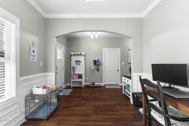 office space with a wealth of natural light, crown molding, and dark hardwood / wood-style floors