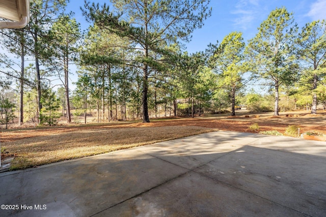 view of yard featuring a patio area