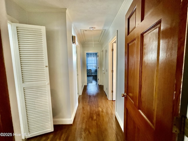 hall featuring dark hardwood / wood-style flooring