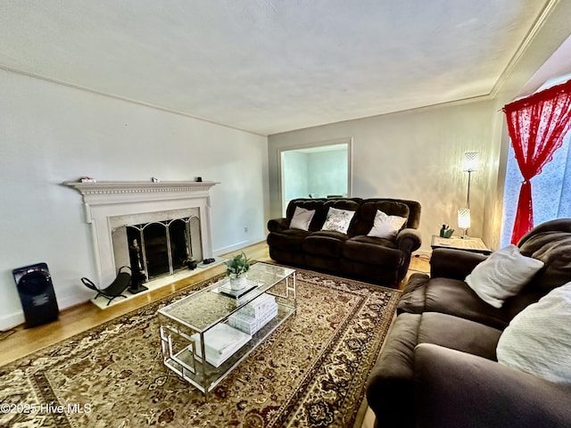 living room featuring hardwood / wood-style flooring and a high end fireplace