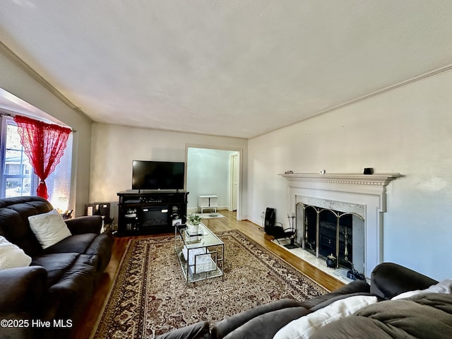 living room with wood-type flooring and a premium fireplace