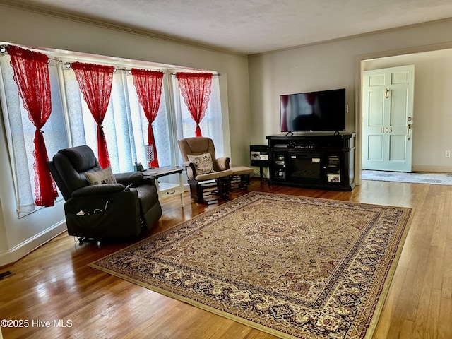 living room with wood-type flooring