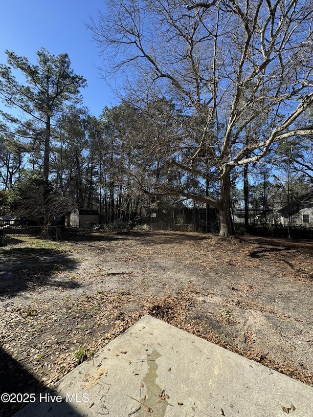 view of yard with a storage shed