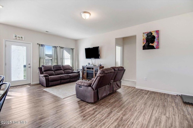 living room with wood-type flooring