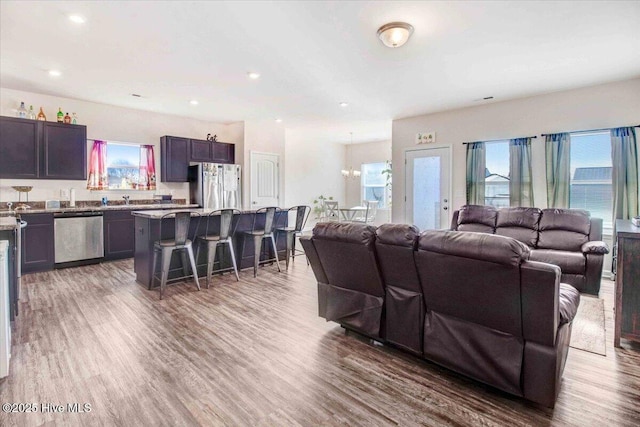 living room featuring sink and wood-type flooring