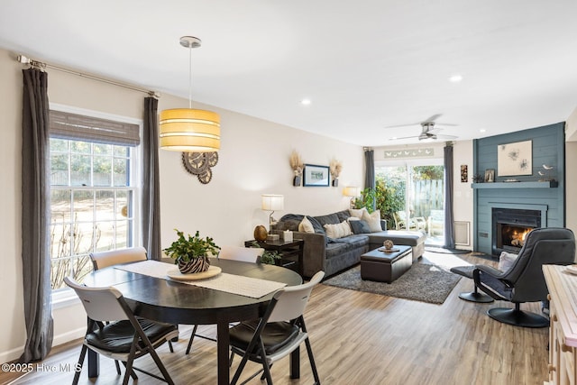 dining area with ceiling fan, plenty of natural light, hardwood / wood-style floors, and a fireplace