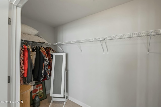 walk in closet featuring light carpet