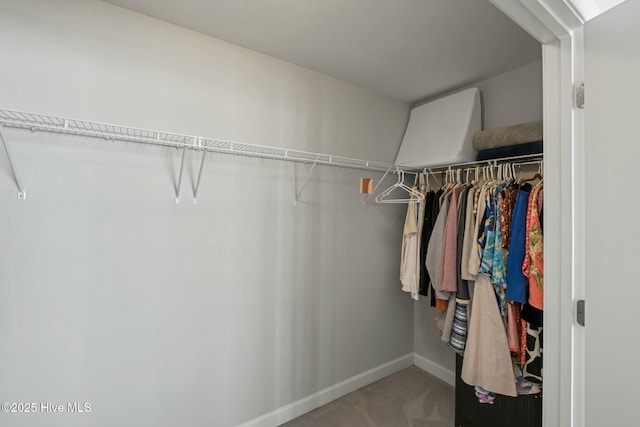 spacious closet with carpet