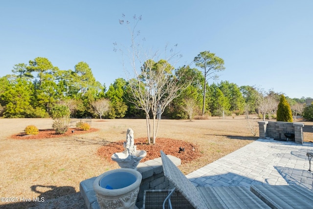 view of yard featuring a patio area