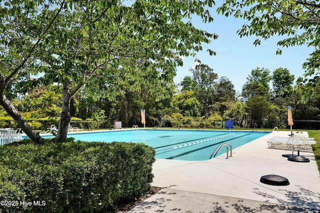 view of pool with a patio area