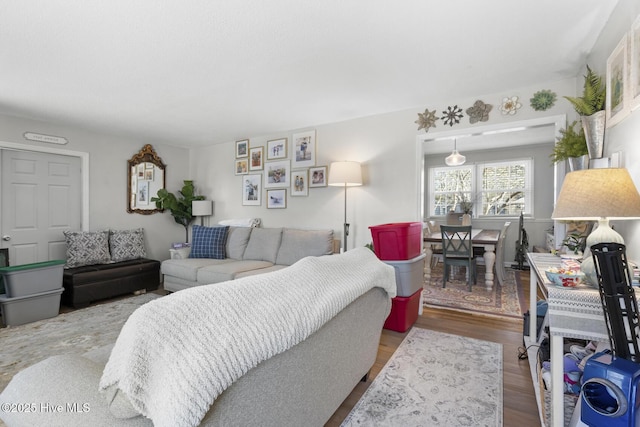 living room featuring hardwood / wood-style flooring