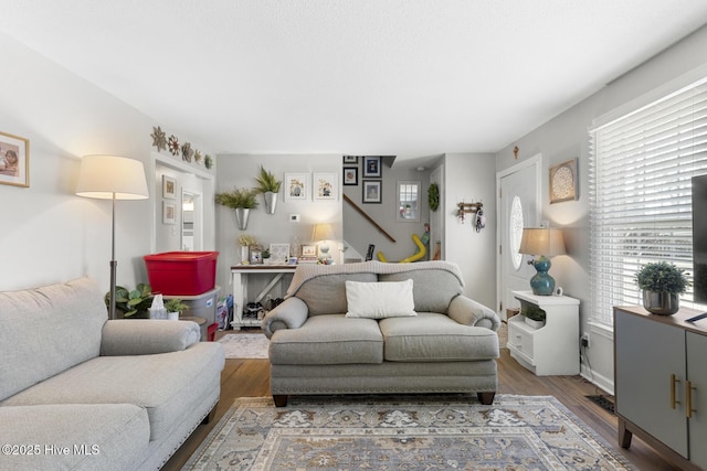 living room with hardwood / wood-style flooring