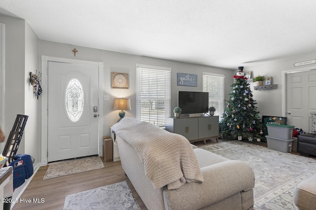 living room with a textured ceiling and light hardwood / wood-style flooring