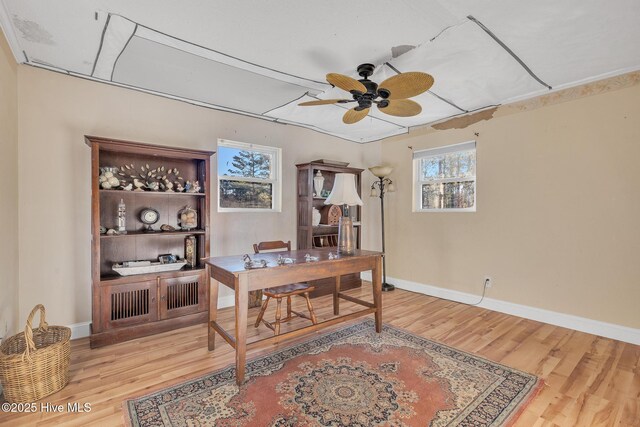 1126 Ccc Rd, Sneads Ferry, NC 28460 - home office featuring ceiling fan and wood-type flooring