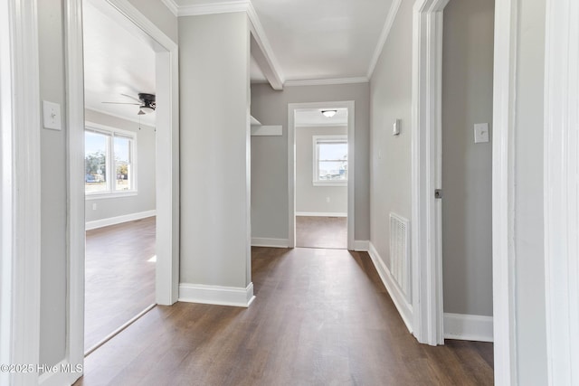 hallway featuring dark hardwood / wood-style flooring and crown molding