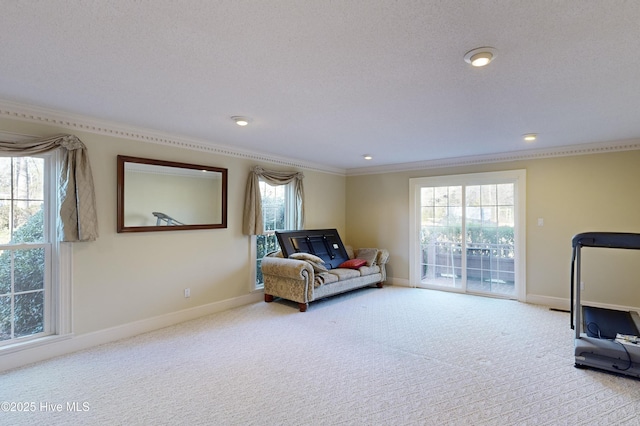 living area featuring a textured ceiling, ornamental molding, and carpet flooring