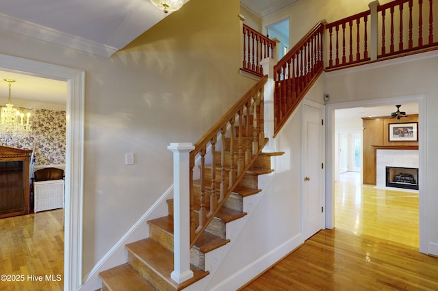 staircase featuring crown molding, ceiling fan with notable chandelier, wood finished floors, and a fireplace