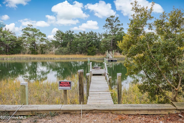 view of dock with a water view