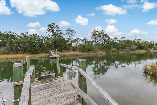 dock area featuring a water view