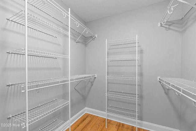 walk in closet featuring wood-type flooring