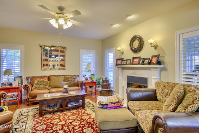 living room with ceiling fan and wood-type flooring