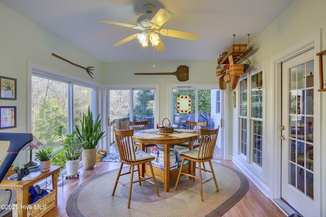 sunroom / solarium with ceiling fan