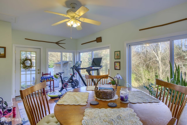 dining space featuring ceiling fan and plenty of natural light