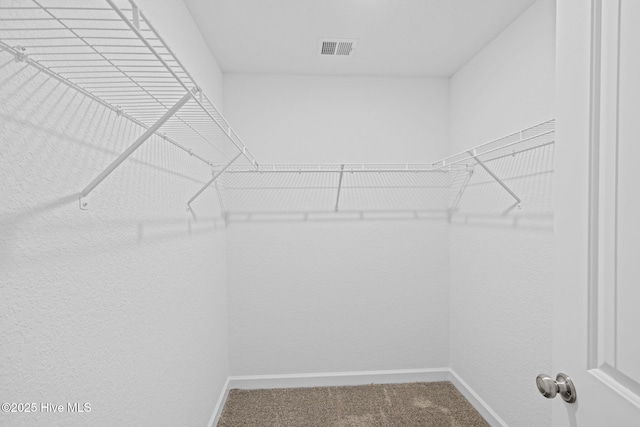 walk in closet featuring carpet floors