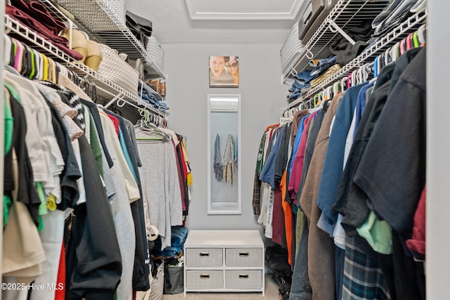 walk in closet with light carpet