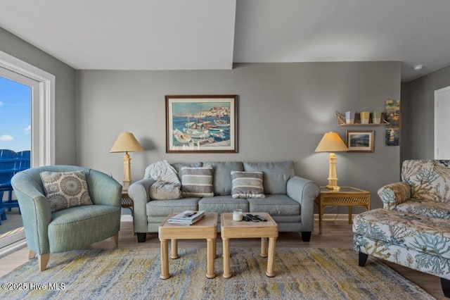 living room featuring hardwood / wood-style floors