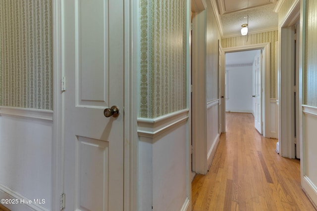 corridor with light hardwood / wood-style floors, a textured ceiling, and crown molding