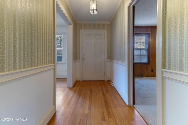 hall with light hardwood / wood-style floors, a textured ceiling, crown molding, and a healthy amount of sunlight