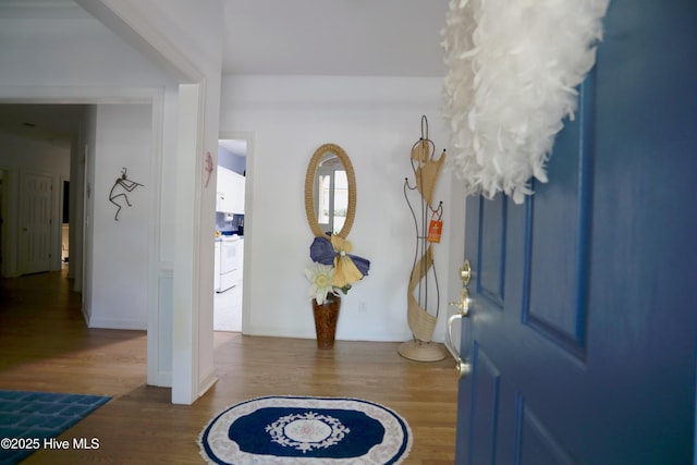 foyer featuring dark hardwood / wood-style flooring