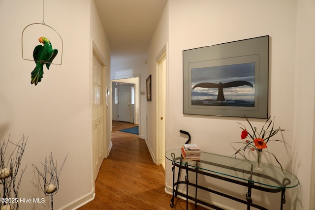 hall with hardwood / wood-style floors