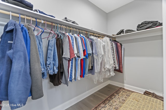 spacious closet with hardwood / wood-style floors